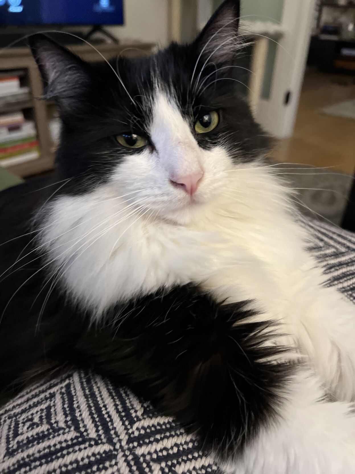 Billy